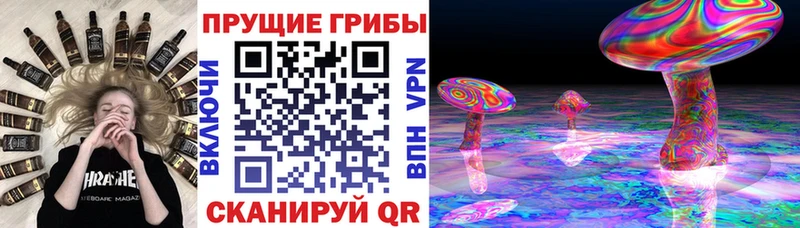 Галлюциногенные грибы прущие грибы Протвино